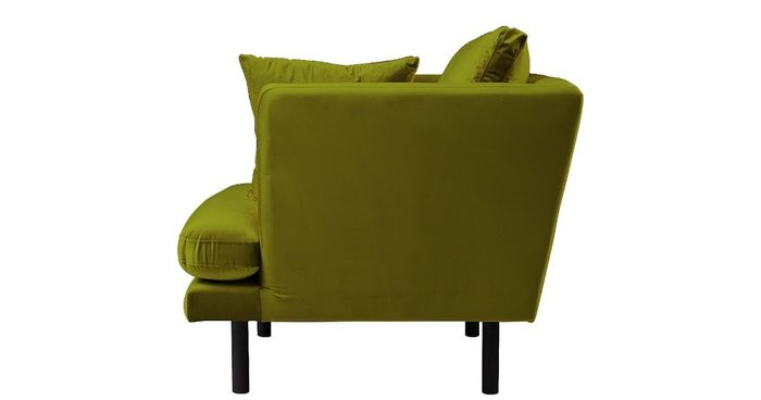 Кресло Djun зеленого цвета - лучшие Интерьерные кресла в INMYROOM