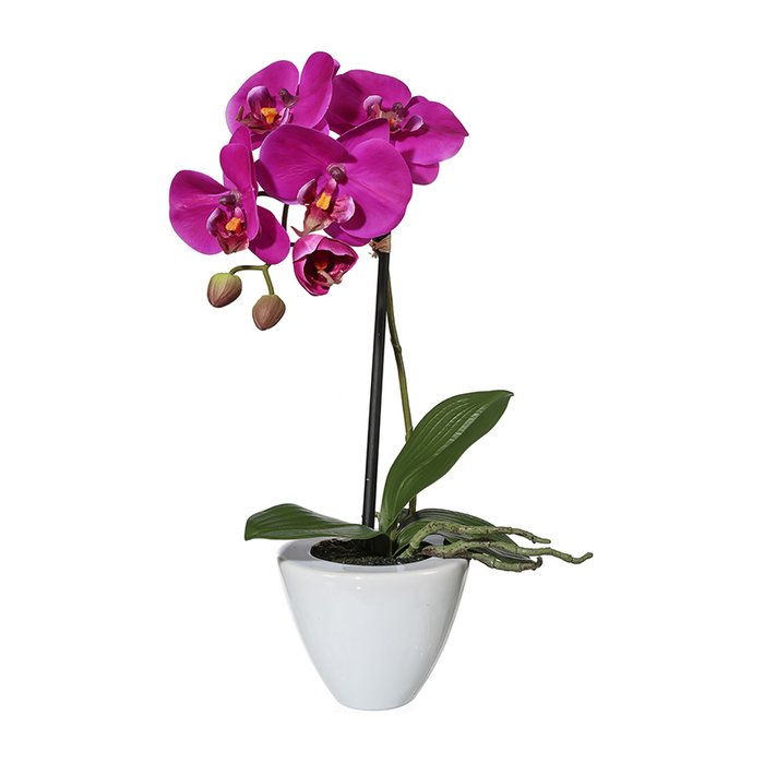 Искусственный цветок Phalaenopsis в керамической вазе