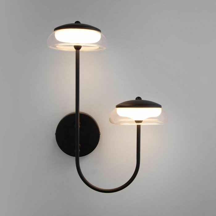 Настенный светильник со стеклянным плафоном 50388/2 LED черный Fungo