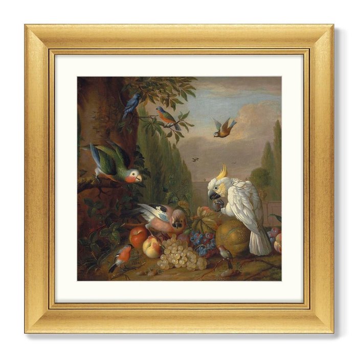 Репродукция картины A cockatoo a parrot a jay and other birds 1715 г. - купить Картины по цене 13799.0
