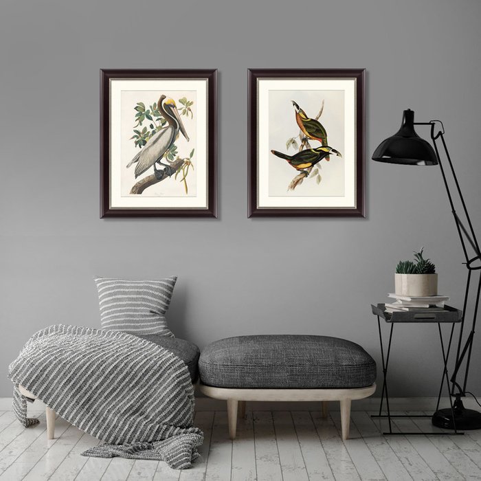 Картина Экзотические виды птиц литография 1838 г.  - лучшие Картины в INMYROOM