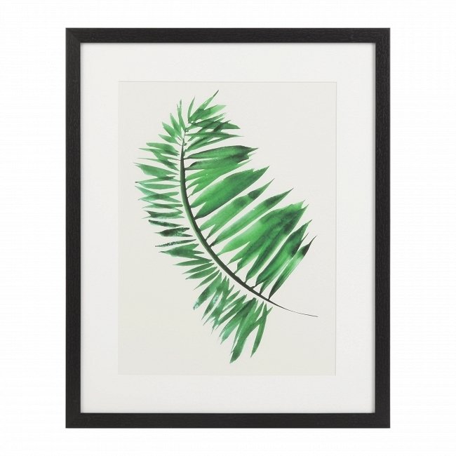Постер Palm 1 с изображением пальмового листа в раме 