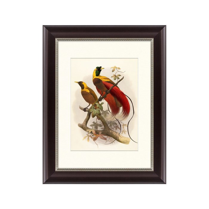 Картина Красная райская птица 1880 г.  - купить Картины по цене 2495.0