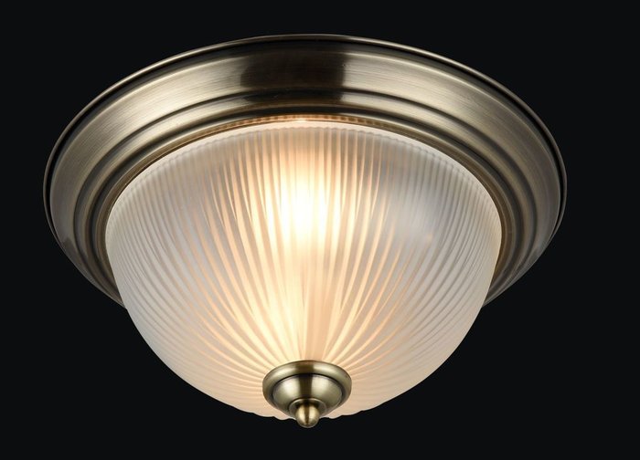 Потолочный светильник Planum из металла и стекла - лучшие Потолочные светильники в INMYROOM