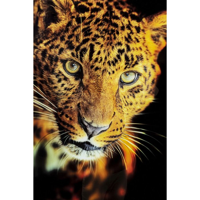 Картина Leopard 80х120 черно-оранжевого цвета - купить Принты по цене 39130.0