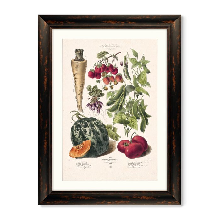 Репродукция картины в раме Вильморин Андрие, Альбом №30, 1879г. - купить Картины по цене 19999 Репродукция картины в раме Вильморин Андрие, Альбом №30, 1879г. - купить Картины по цене 19999