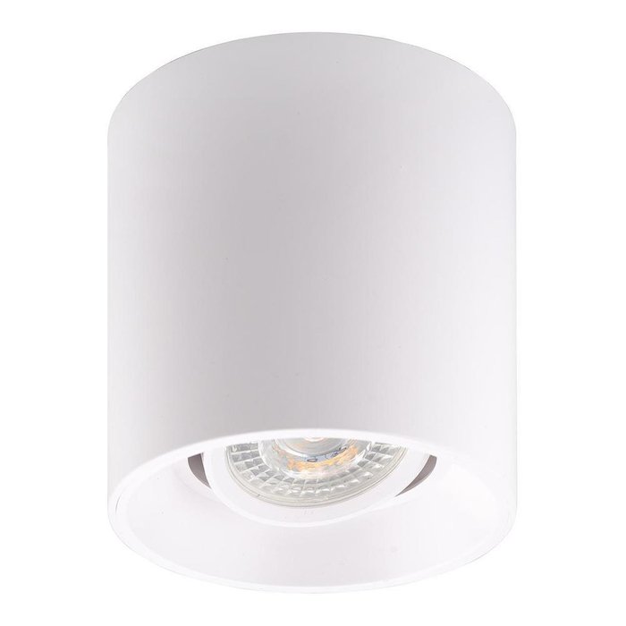 Потолочный светильник белого цвета - купить Потолочные светильники по цене 1289.0