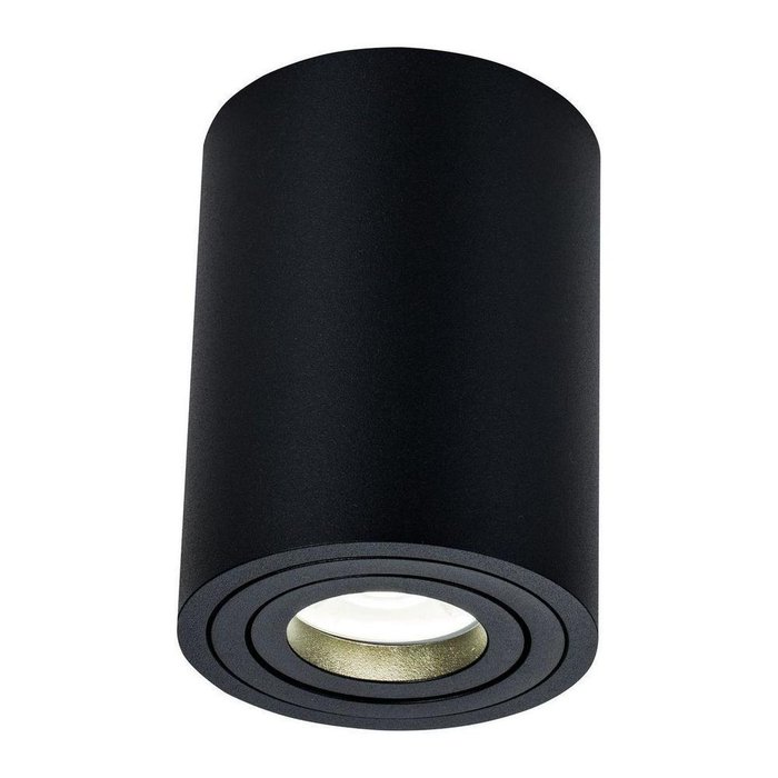 Потолочный светильник Alfa черного цвета - купить Потолочные светильники по цене 1700.0