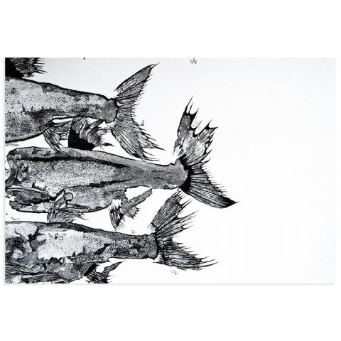 Картина 'Silver Carpa'