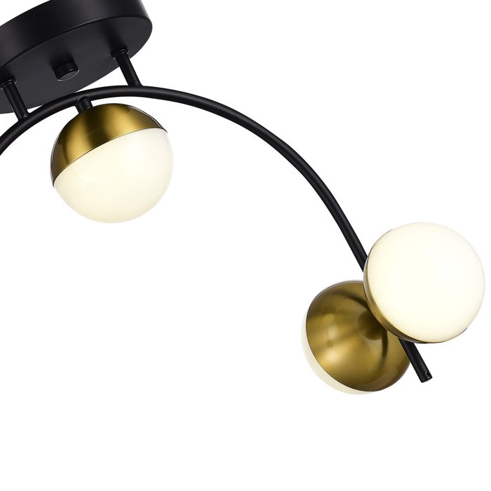 Люстра потолочная Черный,Золотистый/Белый LED 4*8W 4000K AARNIO - лучшие Потолочные люстры в INMYROOM Люстра потолочная Черный,Золотистый/Белый LED 4*8W 4000K AARNIO - лучшие Потолочные люстры в INMYROOM