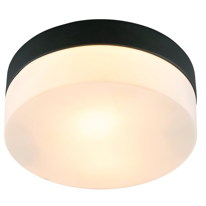 Светильник Arte Lamp AQUA-TABLET A6047PL-1BK Светильник Arte Lamp AQUA-TABLET A6047PL-1BK