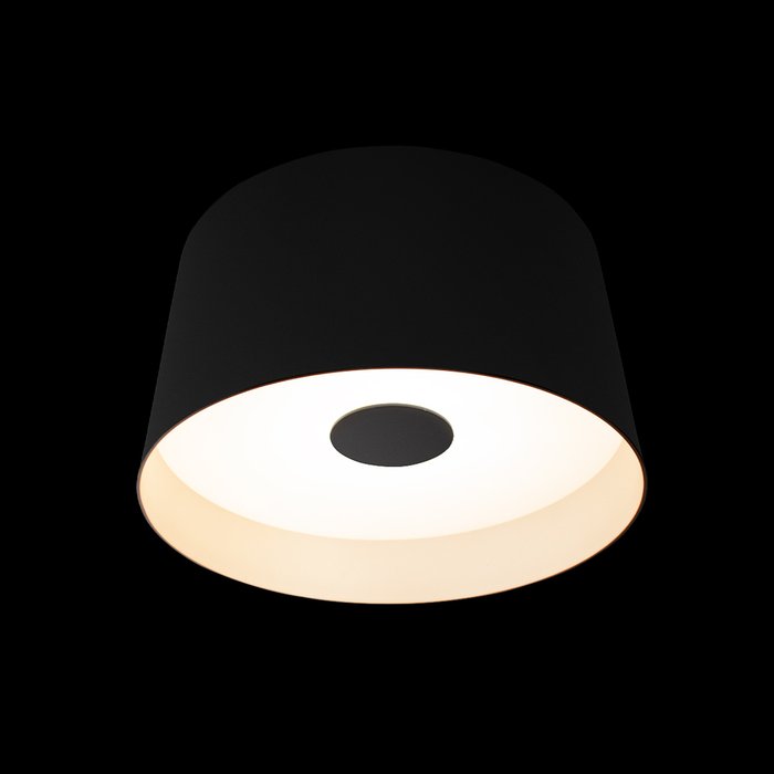 Потолочный светильник Duo 10360S Black (металл, цвет черный) - купить Потолочные светильники по цене 4046