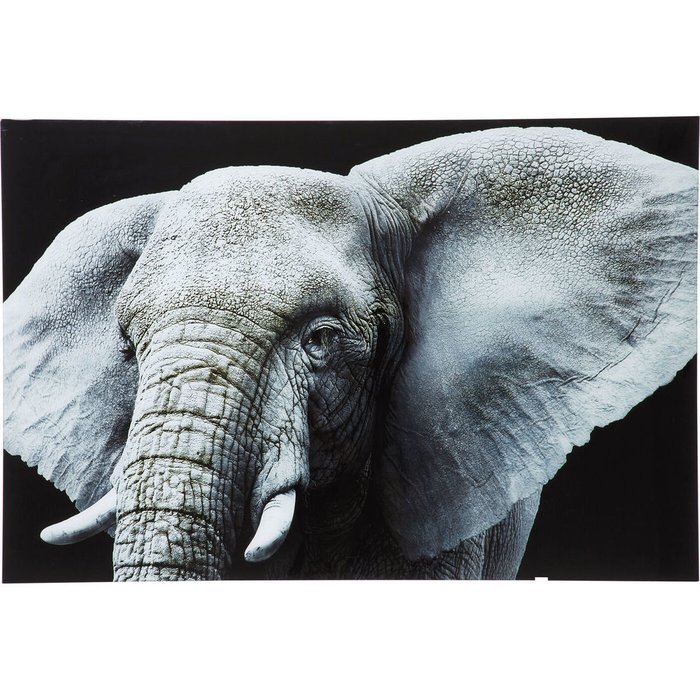 Принт Face Elefant 80хх120 черно-серого цвета
