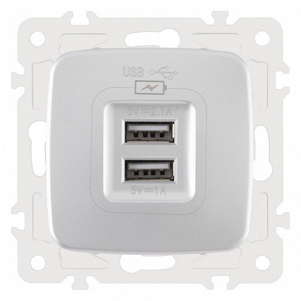 Розетка USB, без рамки 205.46-1.silver Розетка USB, без рамки 205.46-1.silver