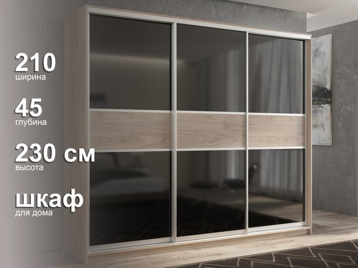 Шкаф-купе Кааппи-12 210 М цвета Кастелло серый  - лучшие Шкафы-купе в INMYROOM