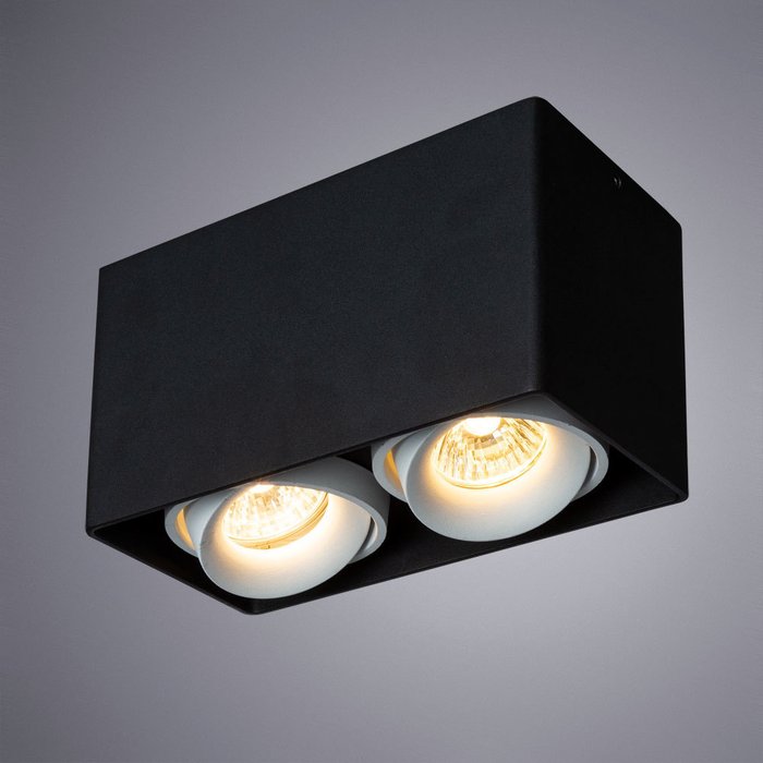 Потолочный светильник Pictor черного цвета - купить Потолочные светильники по цене 1030.0