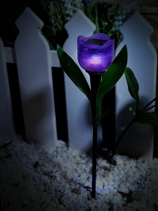 Светильник на солнечных батареях Promo USL-C-453/PT305 Purple Tulip (пластик, цвет фиолетовый) - купить Наземные светильники по цене 112.0 Светильник на солнечных батареях Promo USL-C-453/PT305 Purple Tulip (пластик, цвет фиолетовый) - купить Наземные светильники по цене 112.0