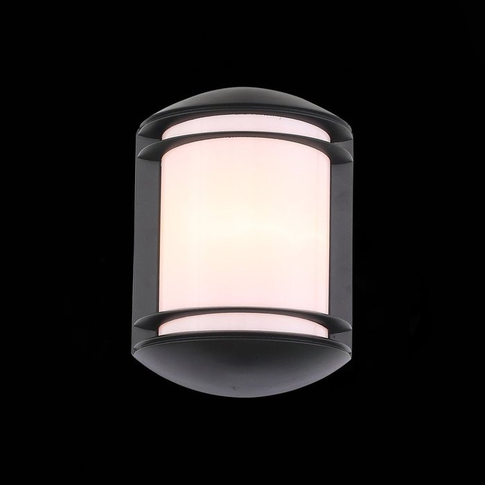 Уличный настенный светильник Agio черно-белого цвета - лучшие Настенные уличные светильники в INMYROOM
