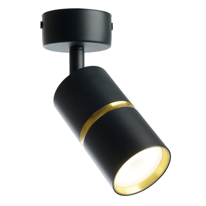 Настенно-потолочный светильник ML1861 48641 (алюминий, цвет черный) - купить Накладные споты по цене 1012.0