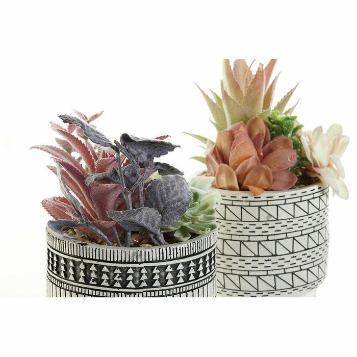 Декоративное растение Кактус Смола полиэтилен 11 x 11 x 21 cm (2 штук) - купить Декоративные цветы по цене 4314.0