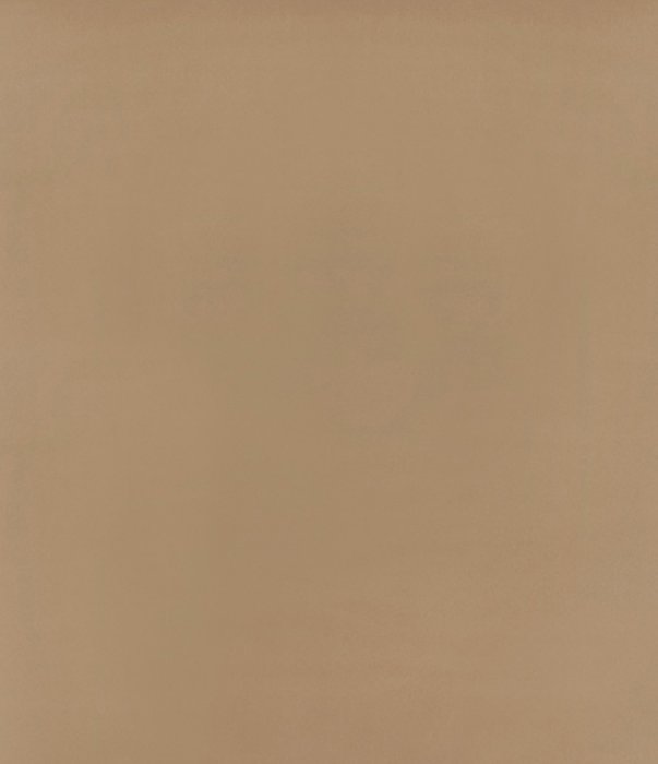 Мини Ролета Блэкаут 42,5х175 латте - лучшие Шторы в INMYROOM