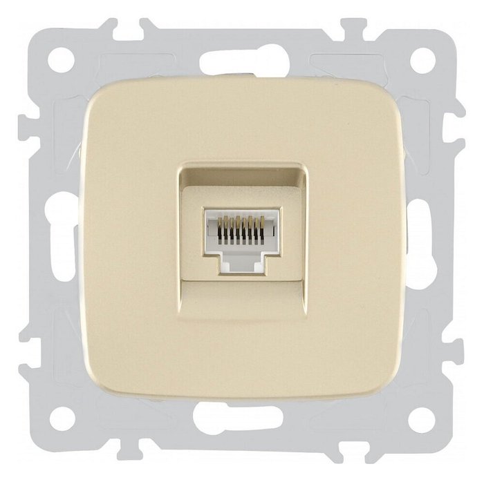 Розетка Ethernet RJ-45 без рамки 205.45-1.shampan - купить Розетки по цене 337.0 Розетка Ethernet RJ-45 без рамки 205.45-1.shampan - купить Розетки по цене 337.0