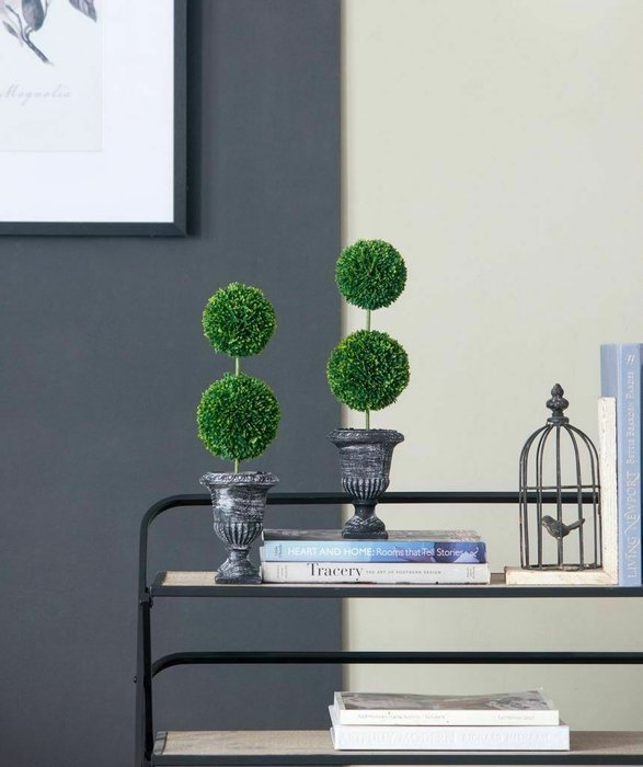 Декоративное растение Самшит двухярусный серо-зеленого цвета - купить Декоративные цветы по цене 3540.0