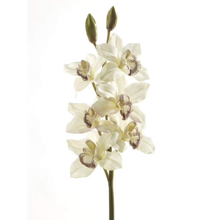 Декор Орхидея