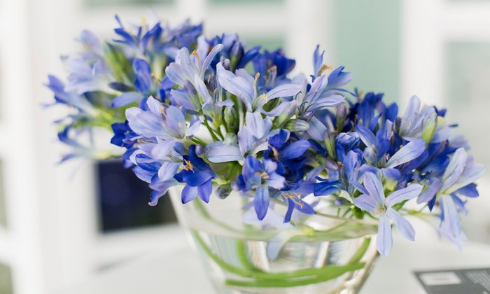 Композиция из искусственных цветов - Голубой агапантус - купить Декоративные цветы по цене 7530.0