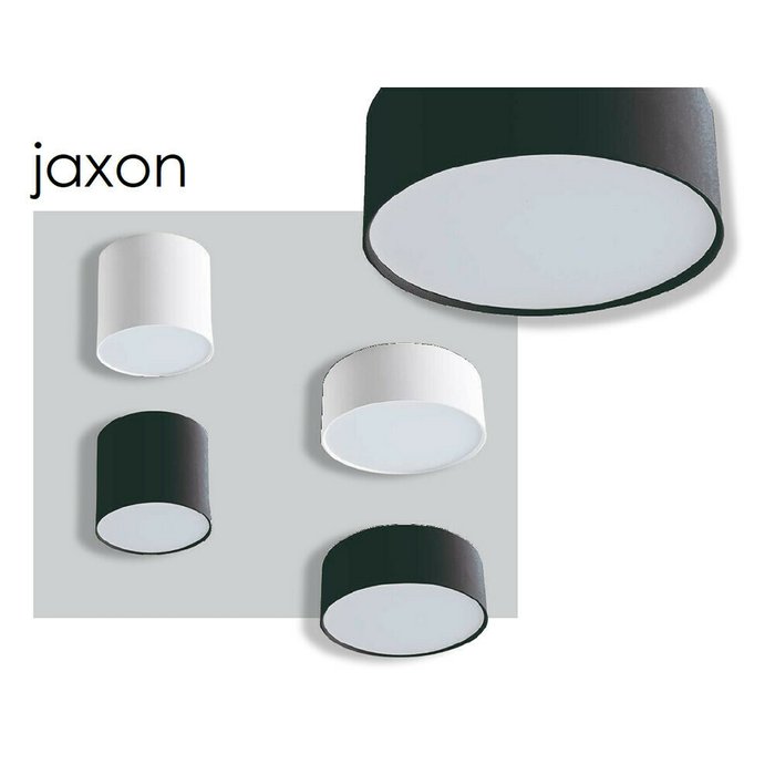Светильник точечный Jaxon белого цвета - купить Потолочные светильники по цене 4890.0