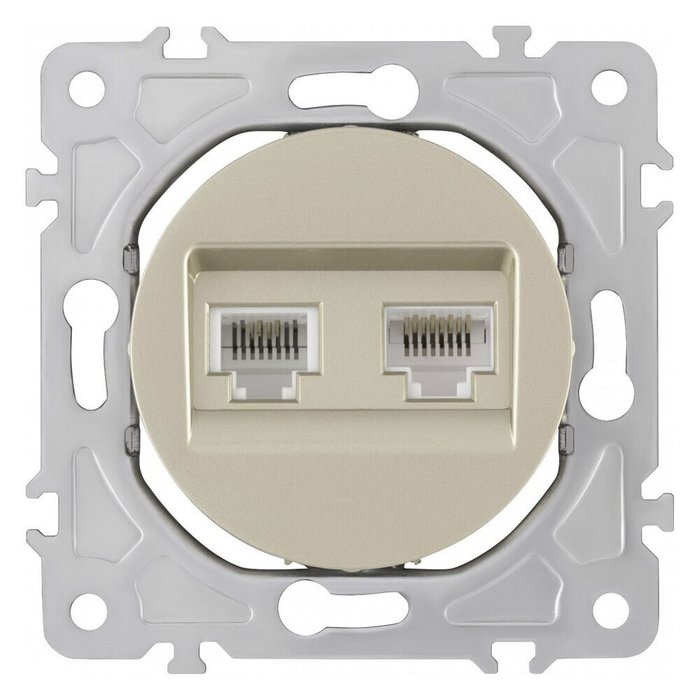 Розетка двойная RJ-11 и Ethernet RJ-45, без рамки 202.44-1.shampan - купить Розетки по цене 523.0