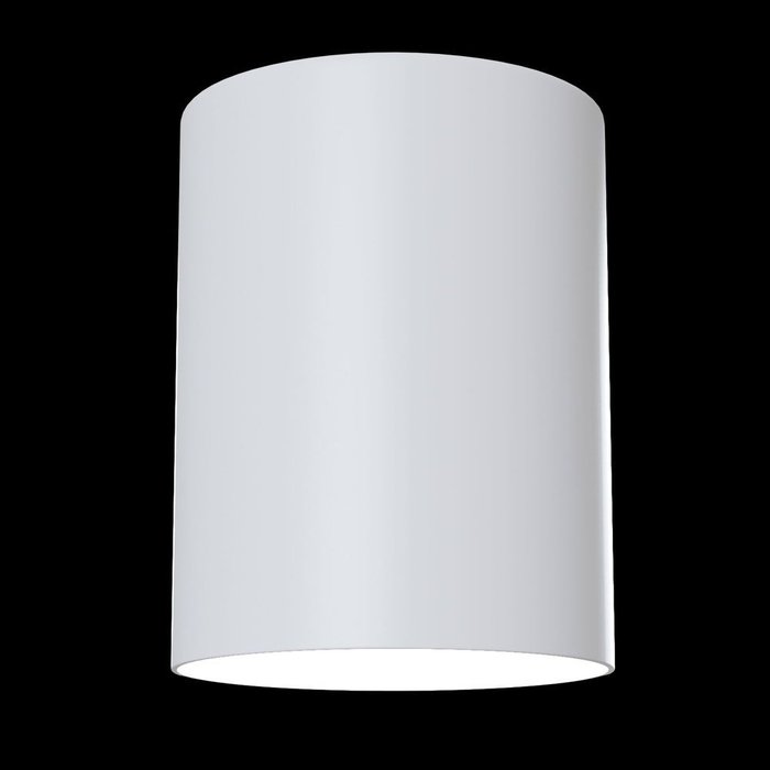 Потолочный светильник Alfa белого цвета - лучшие Потолочные светильники в INMYROOM