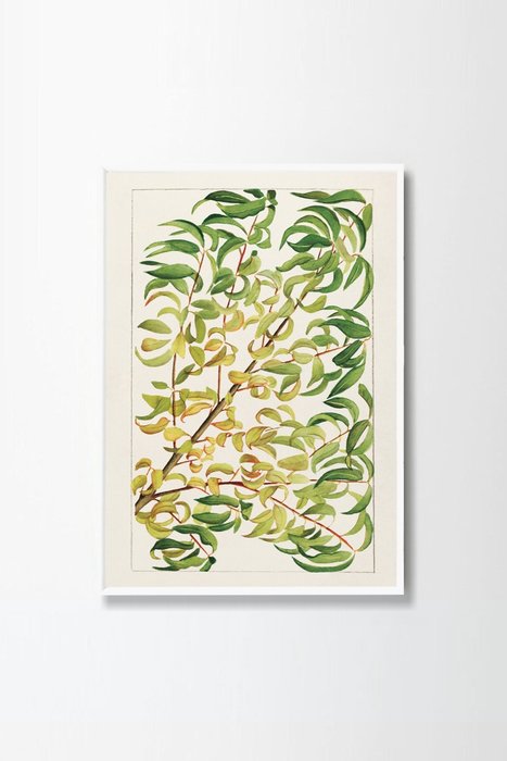Постер Branch of peach 40x60 в раме белого цвета
