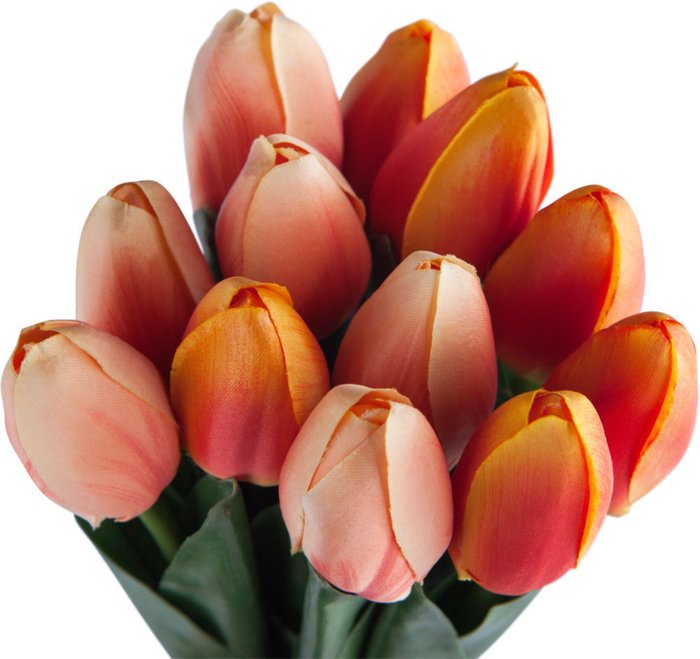 Декор Tulip Bundle  - лучшие Декоративные цветы в INMYROOM
