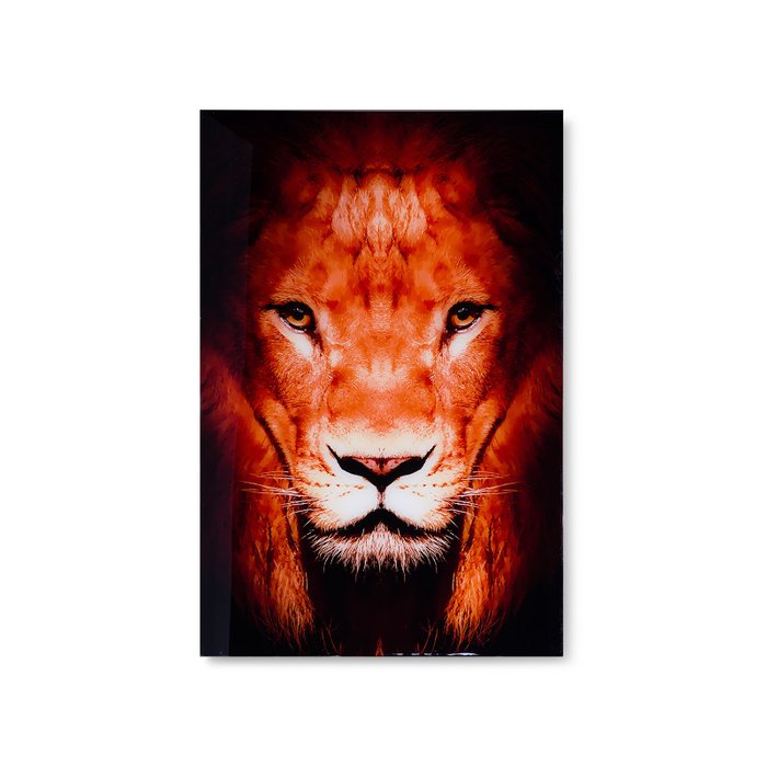 Картина Lion на актриле