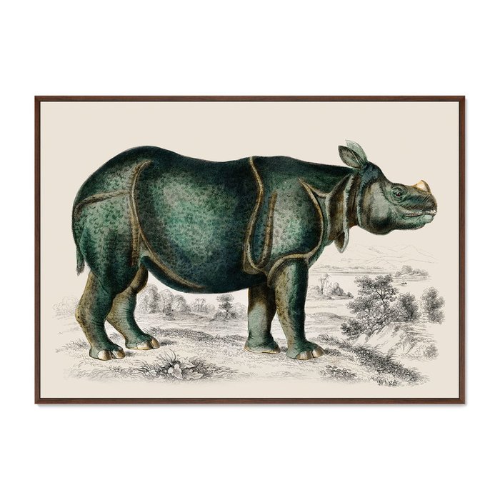 Репродукция картины Rhinoceros 1774 г. - купить Картины по цене 16999.0