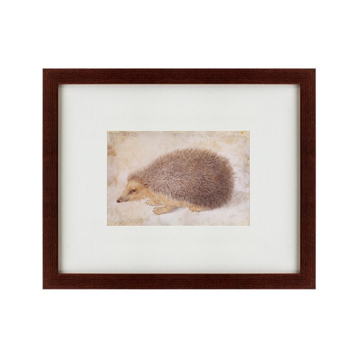 Картина A Hedgehog 1584 г.  - купить Картины по цене 4990.0