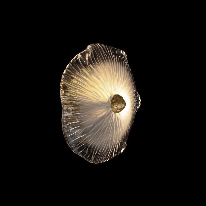 Настенный светильник Bloom 10352W/A AB (стекло, цвет прозрачный) - купить Бра и настенные светильники по цене 7570 Настенный светильник Bloom 10352W/A AB (стекло, цвет прозрачный) - купить Бра и настенные светильники по цене 7570