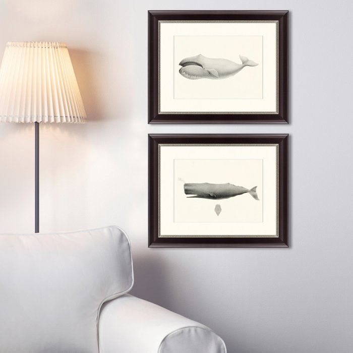 Картина Bowhead whale Balaena mysticetus 1856 г. - лучшие Картины в INMYROOM