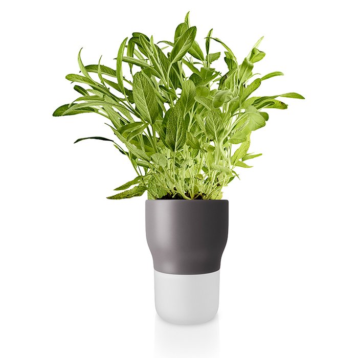 Горшок для растений с функцией самополива 11 см серый - купить Кашпо и горшки по цене 3790.0