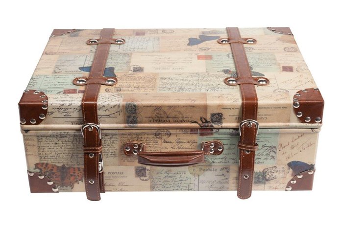 Кейс для хранения Darwin Grande  - лучшие Декоративные коробки в INMYROOM
