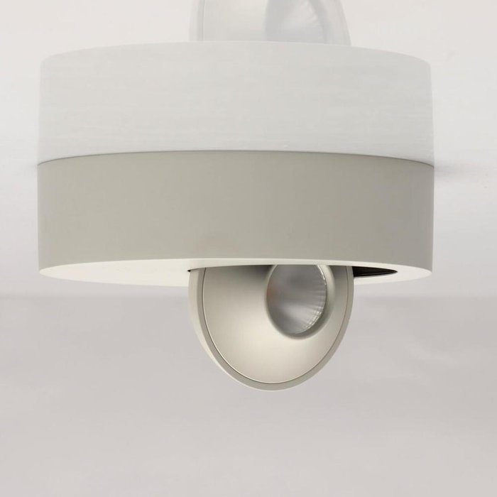 Потолочный светодиодный светильник Круз серого цвета - купить Потолочные светильники по цене 3020.0