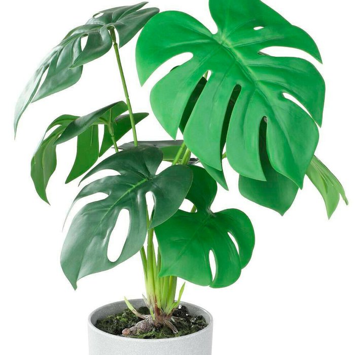 Искусственное растение в горшке Tobetsu зеленого цвета - купить Декоративные цветы по цене 2890.0