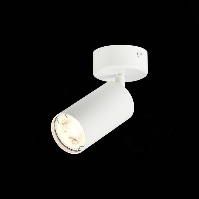 Потолочный светильник Dario белого цвета - лучшие Потолочные светильники в INMYROOM