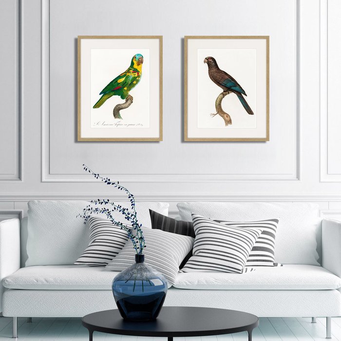 Набор из двух картин Beautiful parrots №4 