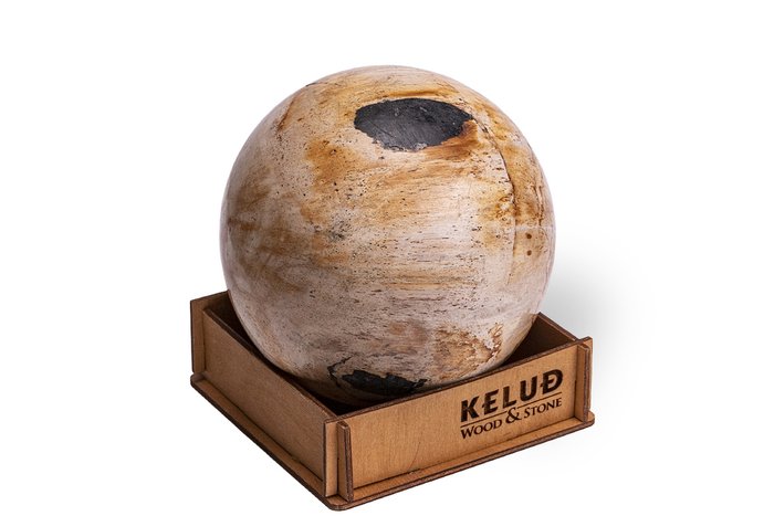 Декоративный шар из окаменелого дерева 383144 - купить Фигуры и статуэтки по цене 5150.0