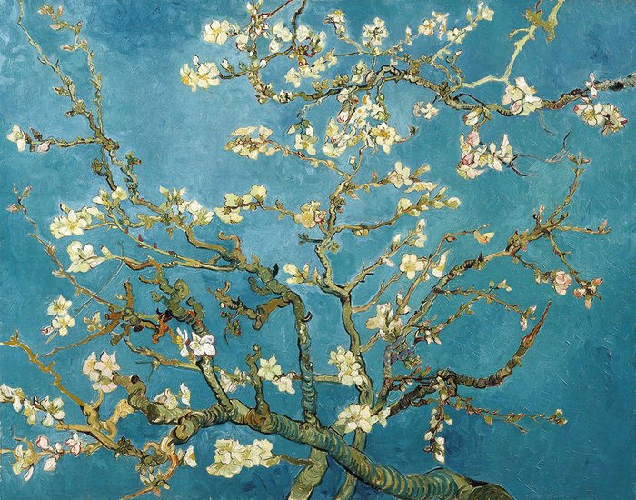 Репродукция картины на холсте Branches with Almond Blossom 1890 г.