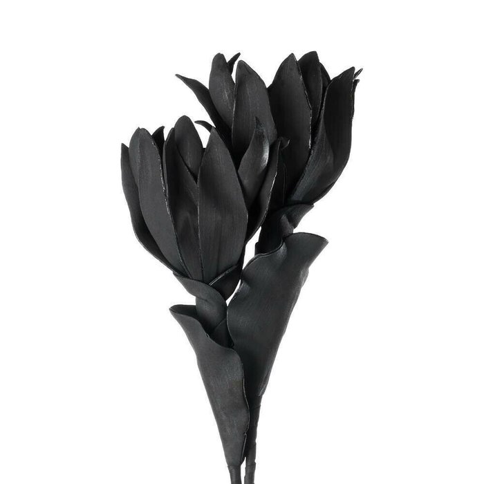 Искусственное растение Molave черного цвета - купить Декоративные цветы по цене 2690.0