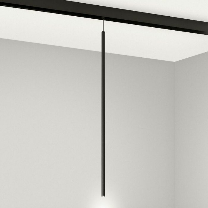 Трековый магнитный светильник Arlight MAG-ORIENT-SPOT-HANG-L600-R12-2W Day4000 (BK, 20 deg, 48V) 044501 - купить Трековые светильники по цене 2302.0 Трековый магнитный светильник Arlight MAG-ORIENT-SPOT-HANG-L600-R12-2W Day4000 (BK, 20 deg, 48V) 044501 - купить Трековые светильники по цене 2302.0