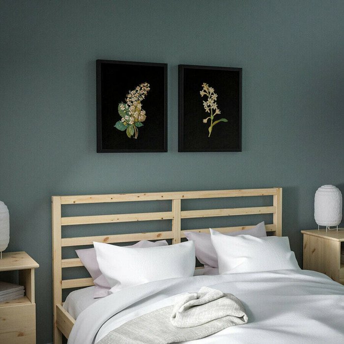 Флора Деланика II, 40х50 см - лучшие Картины в INMYROOM